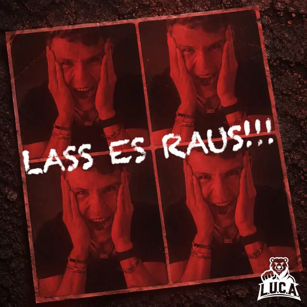 Cover der Veröffentlichung »Lass es raus!!!«